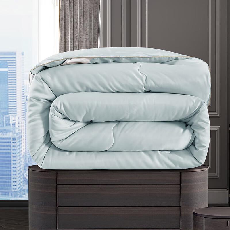 Tangna Premium German Velvet Winter Quilt