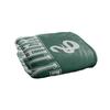 Harry Potter Slytherin Snake Soft Touch Blanket
