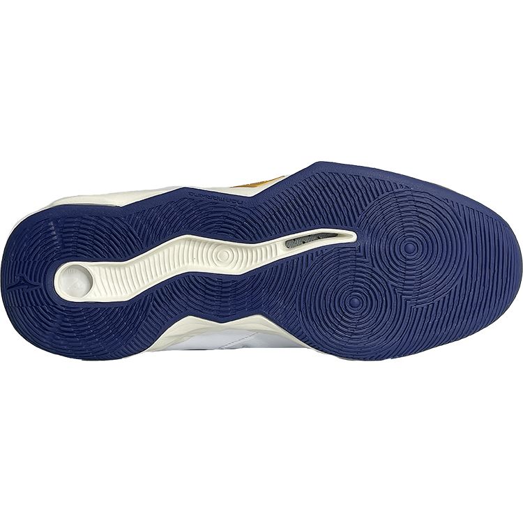 Mizuno Slip Resistant Durable Shock Absorbing Low Top Training Shoes Unisex Sneakers White Blue Gold V1GA224043