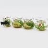 62KD Exquisite Mini Glass Fish Aquarium Scene Model for Dollhouse Collectors