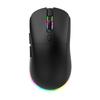 OLOEY Lightweight Wireless Gaming Mouse