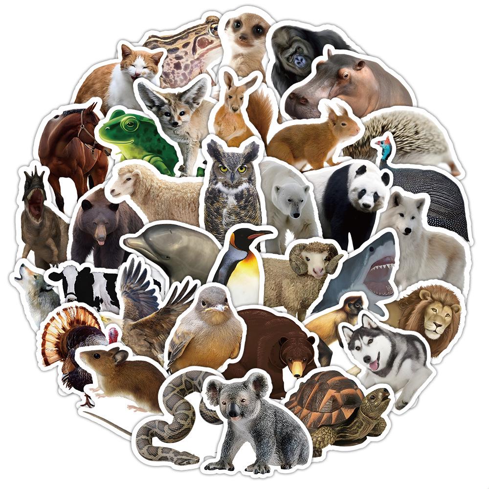 50 Realistic Animal Graffiti Waterproof Stickers for Luggage, Computers, Skateboards, and Notebooks.