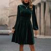 Frühlings Damen Samtkleid Lange Puffärmel Hohe Taille A-Linie Knielang Einfarbig Stehkragen Freizeitkleider