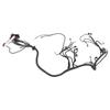 Auto Standalone Wiring Harness with Screw Gasket Relay Kit Fit for DBC LS1 1997‑2006