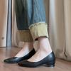 Sheepskin Version~ French Niche Polished Small Square Head Shallow Mouth Inner Height Increase Single Shoes Women's 2025 Autumn Temperament Com