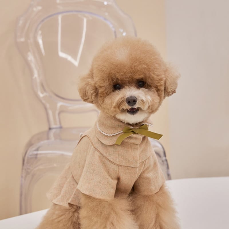 CAHIERS Button Point Pleated Dress