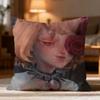 Popular D-DDislyte Cushion Cover Soft Washable Pillow Case Multi-Scene for Couch Bed Travel Office Use