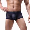 Mens Boxer Sexy See Through Lingerie Underwear Men Lace Mesh Boxershorts Underpants Man Solid Boxers Hombre Shorts Men's Panties