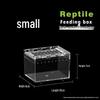 Acrylic Terrarium for Reptiles and Insects