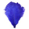 10Pieces Natural Ostrich Feather Wedding Home Decoration 15-20cm25-30cm30-35cm For Party Ostrich Plumes Centerpiece Diy Crafts