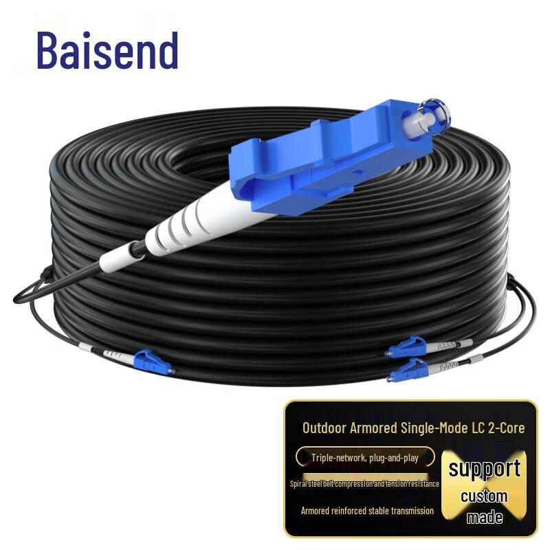 

Baisende Outdoor Armored Single-Mode 2-Core LC-LC Fiber Optic Cable