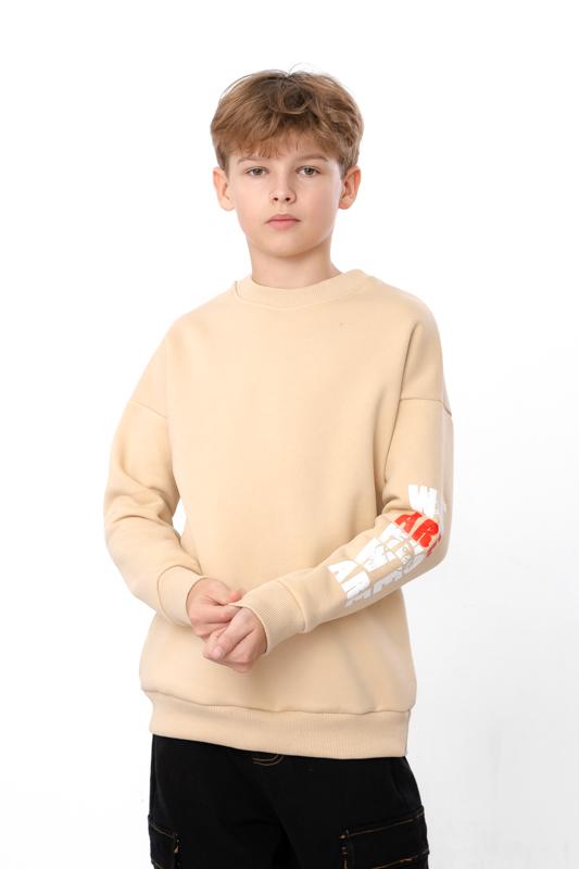 

Толстовка (хлопчики) Зима 6393-025-33-1 HC 140