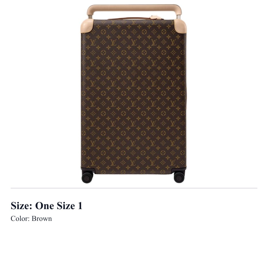 LOUIS VUITTON Horizon Canvas Luggage Unisex Brown M13769