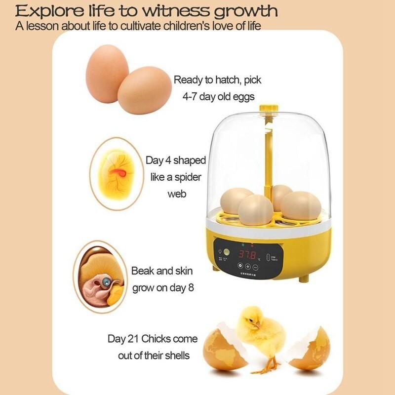 Household Automatic Poultry Tool Intelligent Temperature Poultry Incubator Chicken Duck Bird Pigeon Hatcher