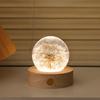 Dandelion Crystal Ball Night Light with Preserved Flower 3D Carving Luminous Resin Ornament.