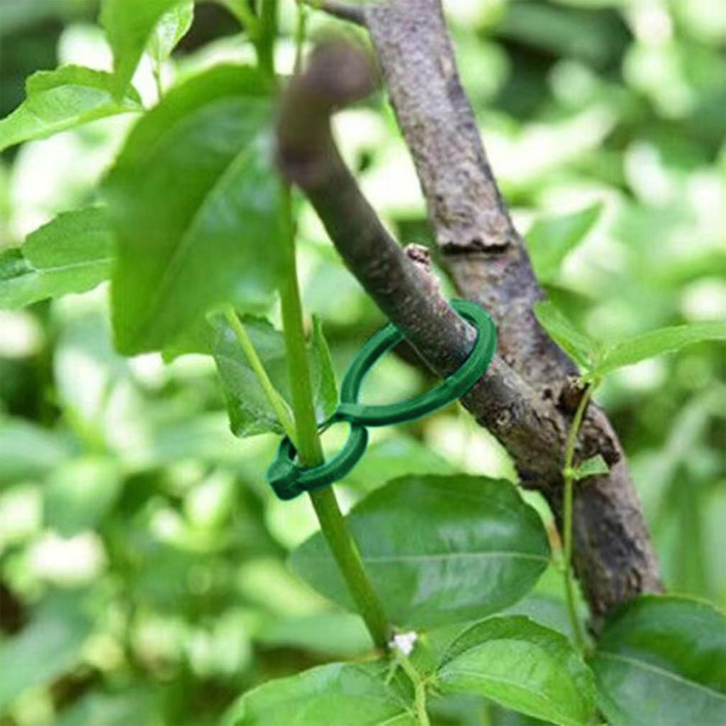 500Pcs Plant Clips For Climbing Plants Garden Clips Plant Support Clip For Tomato Gardening Clip For Support & Securing Plants