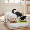 Double Pet Bowls Set for Dogs - Durable Non-Slip Food Water Feeder Dish Pet Supplies