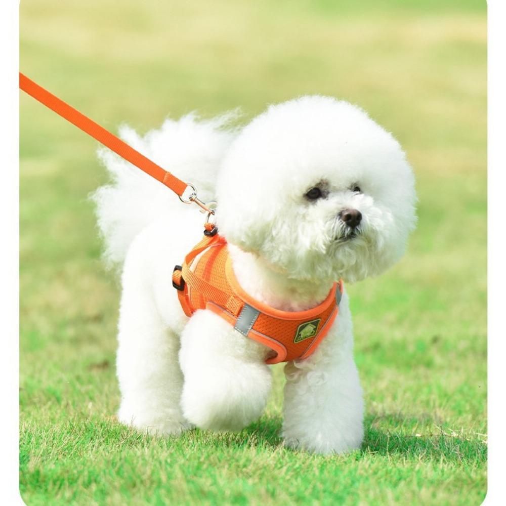 Pet Chest Strap, Vest Type Dog Leash, Reflective Breathable Mesh, Cat and Dog Universal Cat Leash