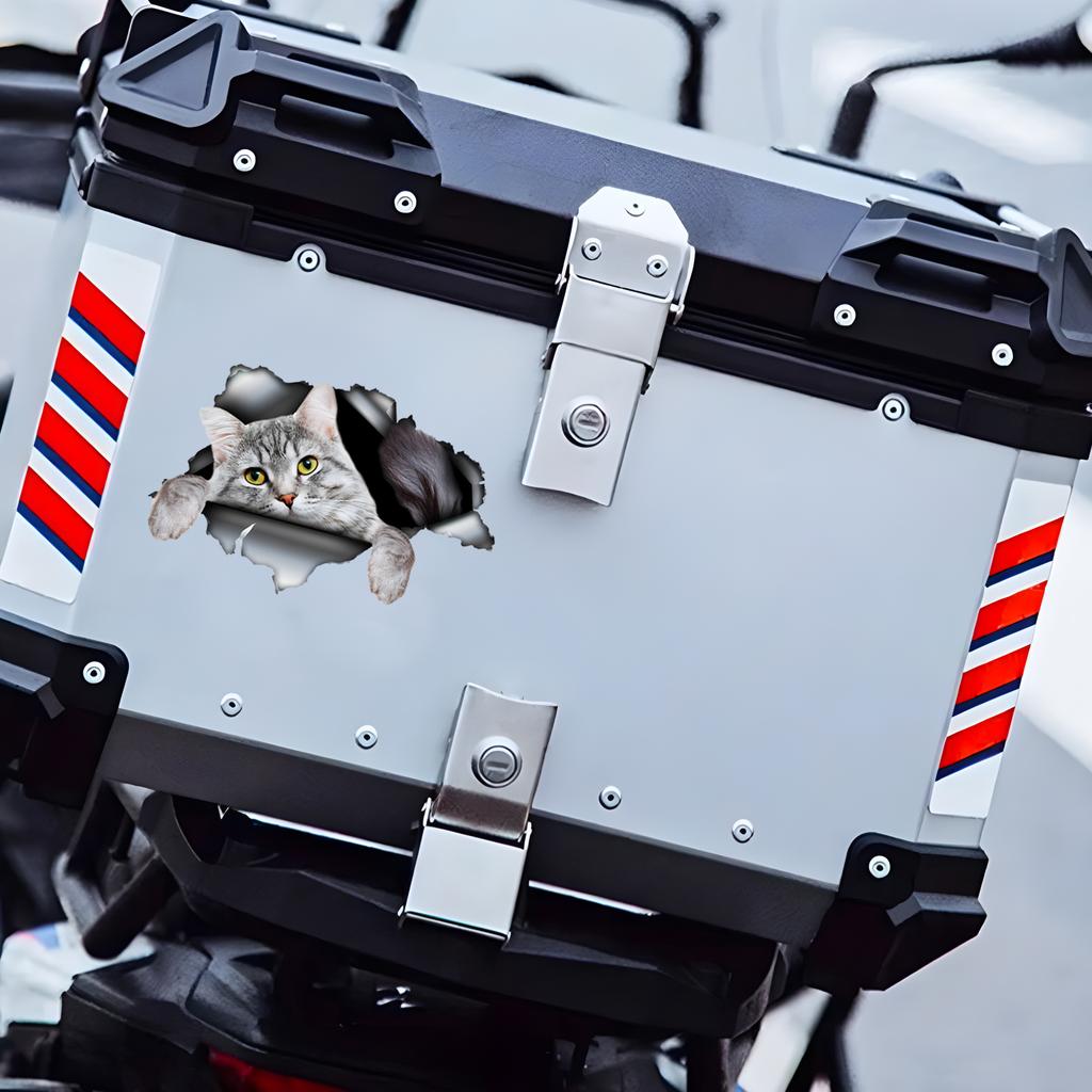 Šedá mourovatá kočka Roztomilé zvířecí samolepky na auto Samolepky na nárazníky Autodoplňky Vodotěsný vinylový materiál