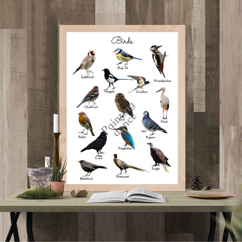 Birds Animal Educational Poster Wall Art Canvas Painting Picture Nature Study Learning Prints Kids Kindergarten Wall Room Decor