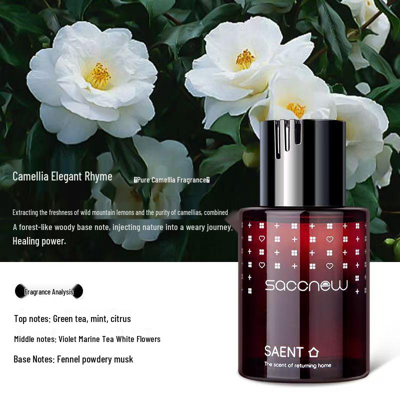 Naturalny Długotrwały Odświeżacz Powietrza do Samochodu: Odświeżająca ozdoba do wnętrza samochodu