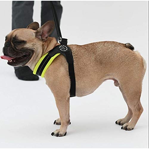 Tre Ponti Fibbia Adjustable Soft Mesh Harness for Dogs, Cushioned and Breathable (LTP123) (Size 4, Green)