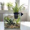 Top Hanging Fish Tank Greenery Holder Soilless Cultivation Aquarium Planter Cups  Landscaping