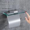 Stainless Steel Double Toilet Paper Holder with Hook