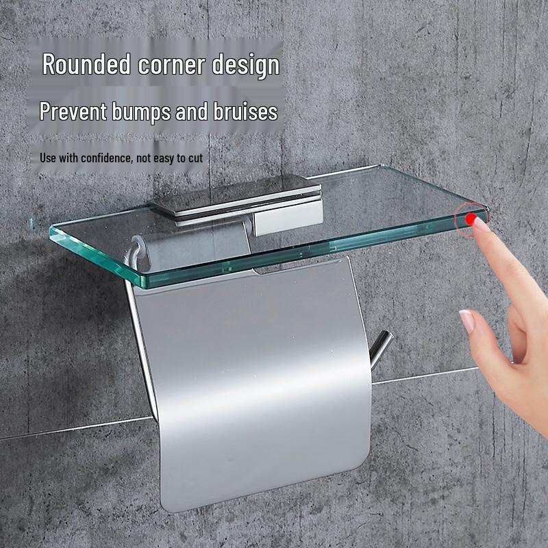 Stainless Steel Double Toilet Paper Holder with Hook