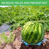 5pcs Watermelon Cradle Stand, Plastic Strawberry Stand, Pumpkin Stand Set, Protecting Pumpkins, Watermelons Plant Stand