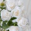 1PC 15 Heads Artificial Flowers Silk Rose Bride Bouquet Wedding Table Party Vase Festival Home Decoration Accessory Fake Flowers