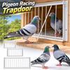 Metal Bar Construction One-Way Pigeon Door 30/40/50cm Pigeon Loft Door for Racing Pigeons
