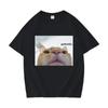 Lustige Pathetische Katze Meme Grafik T-Shirts Herren Damen Mode Lässig Kurzarm T-Shirt Sommer O-Ausschnitt Übergroße T-Shirts Sport Top