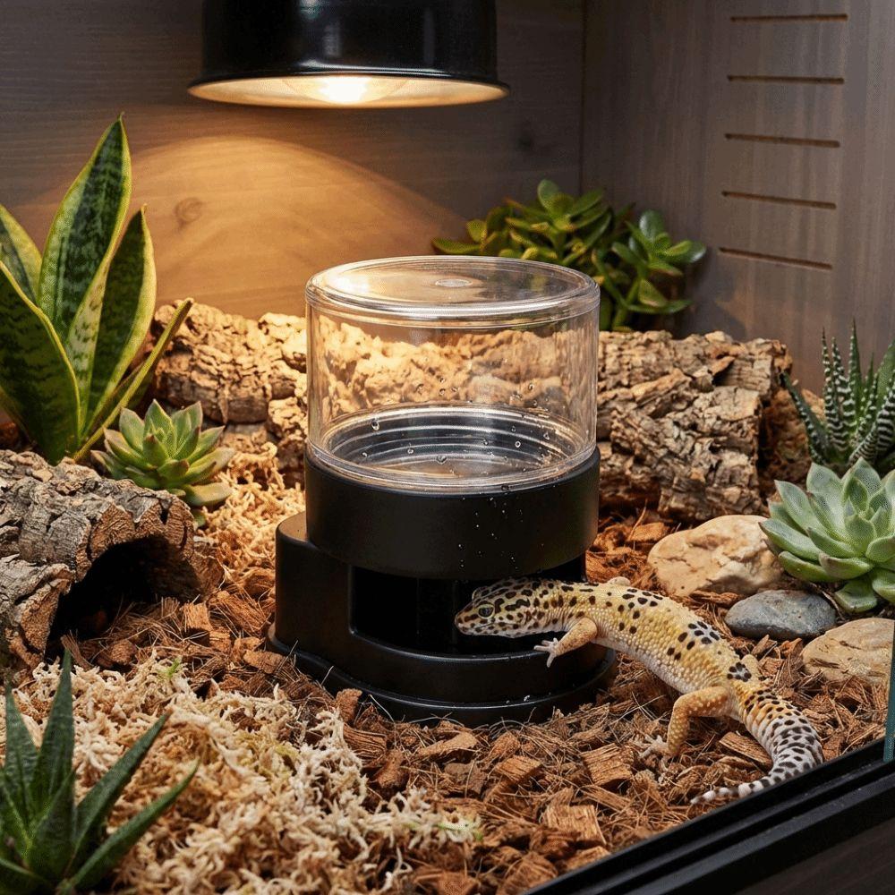 Detachable Reptiles Water Feeder Plastic Turtle Water Bowl Reptile Water Dispenser Tank Landscape