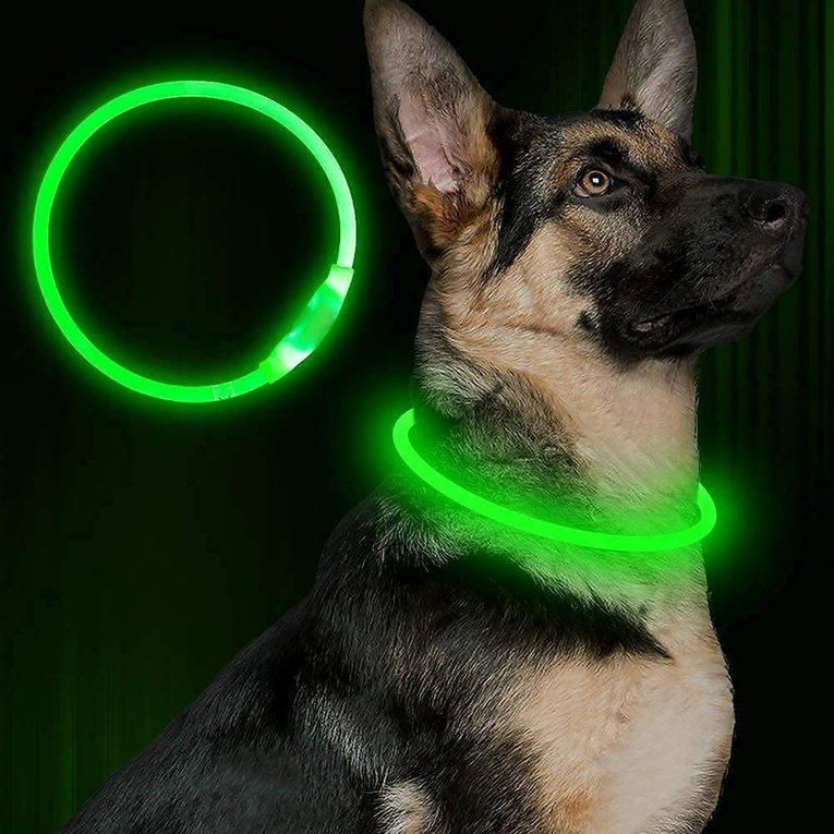 mini green dog collar