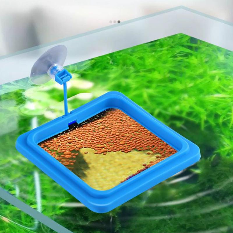 New Tank Blue Floating Station Food Tray Aquarium Fish Feeding Ring Prevent Food Dispersion Fish Pinch With Suction Cup