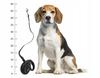 Leash For Dog Or Cat Automatic Strong Tape 5M With Locking 15Kg S1