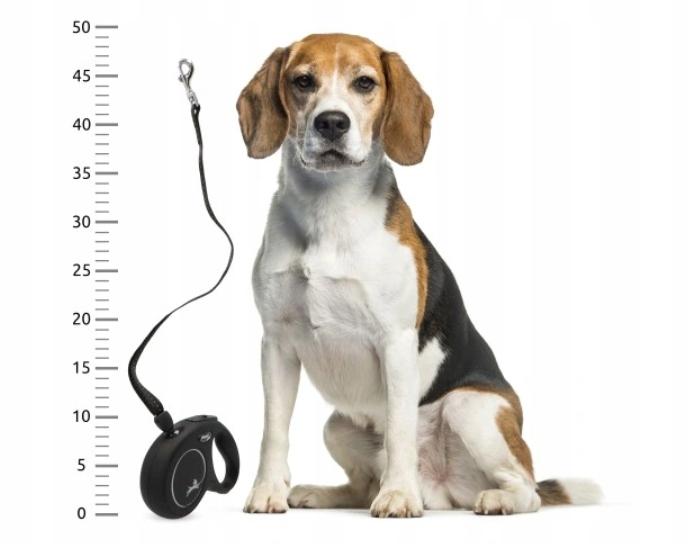 Leash For Dog Or Cat Automatic Strong Tape 5M With Locking 15Kg S1