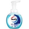 Walch Foaming Antibacterial Hand Soap