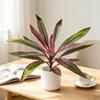 Large Realistic Artificial Fern And Dragon's Blood Tree Plants with Green Faux Foliage, UV Resistant Outdoor Fake Ferns for Patio, Balcony, Garden,