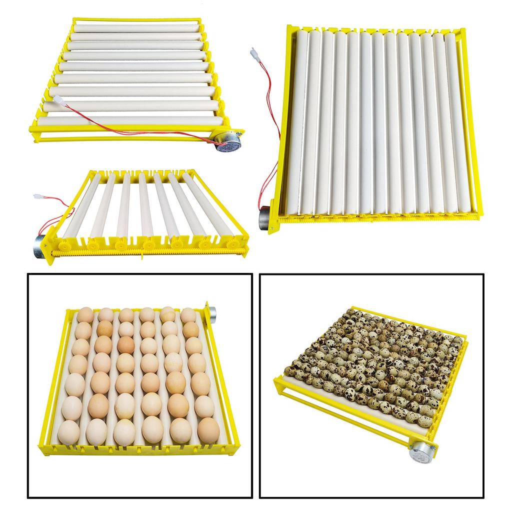 Egg Incubator Tray Automatic Egg Roller Household for Quail