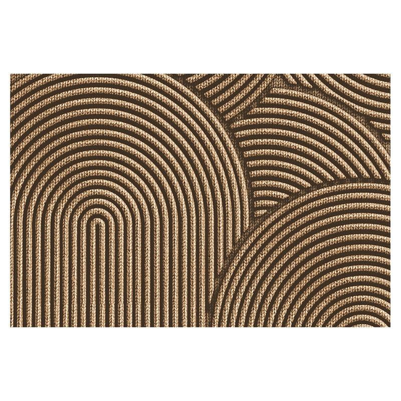 Simple PVC Wire Ring Entry Door Mat Dirt Resistant Door Entrance Door Non-slip Mat 3D Visual Foot Mat