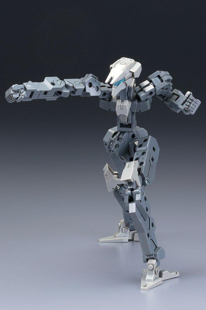 Frame Arms Frame Architect Renewal Scale Plastic Model Ver. (Gray) 1/100