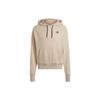 Adidas Botandye Logo Hoodie Solid Color Casual Pullover Sweatshirt Men Tops Light-Grey HE3070