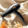 High Power Hair Salon & Hotel Hair Dryer: New Model with Special Cold & Hot Air