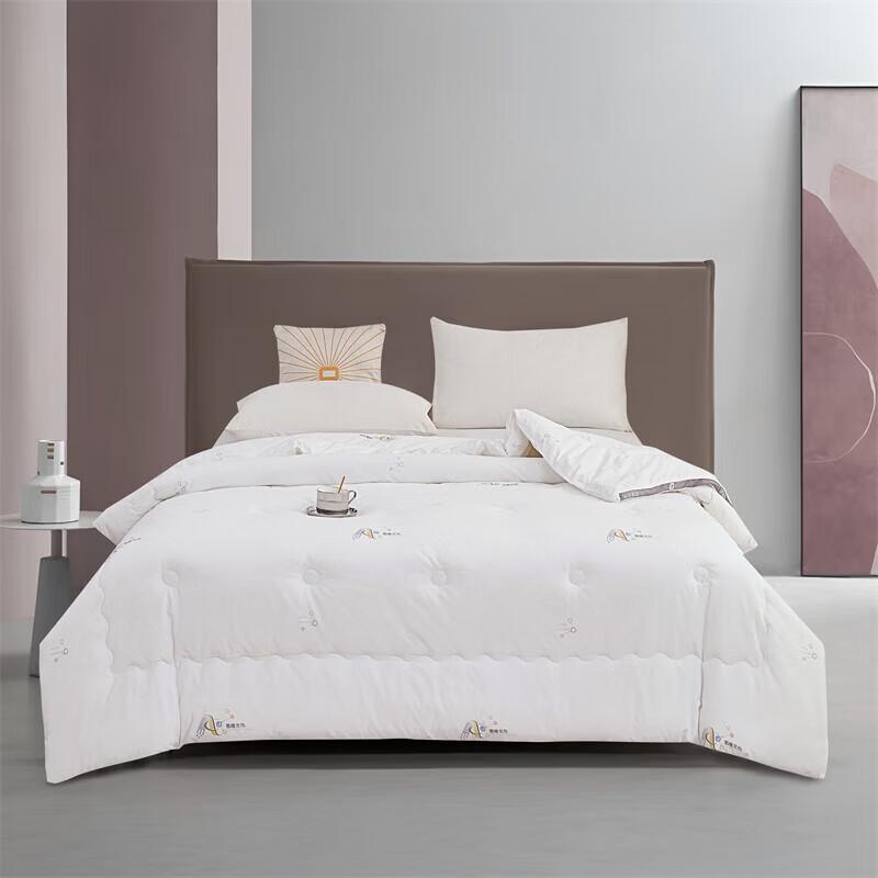 Donner Home Textiles Soft Warm Winter Quilt 200cm*230cm