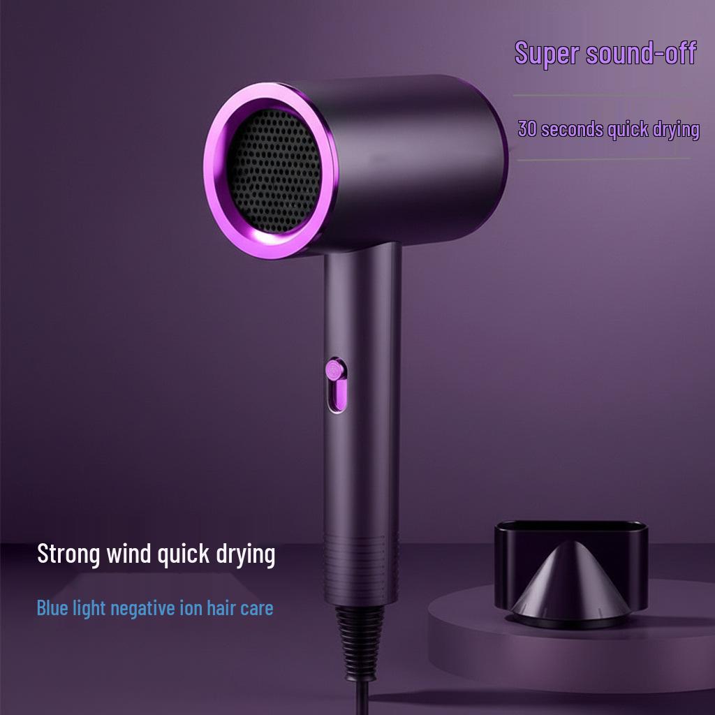 High Power Quiet Hair Dryer with Negative Ions for Salon or Dormitory Use