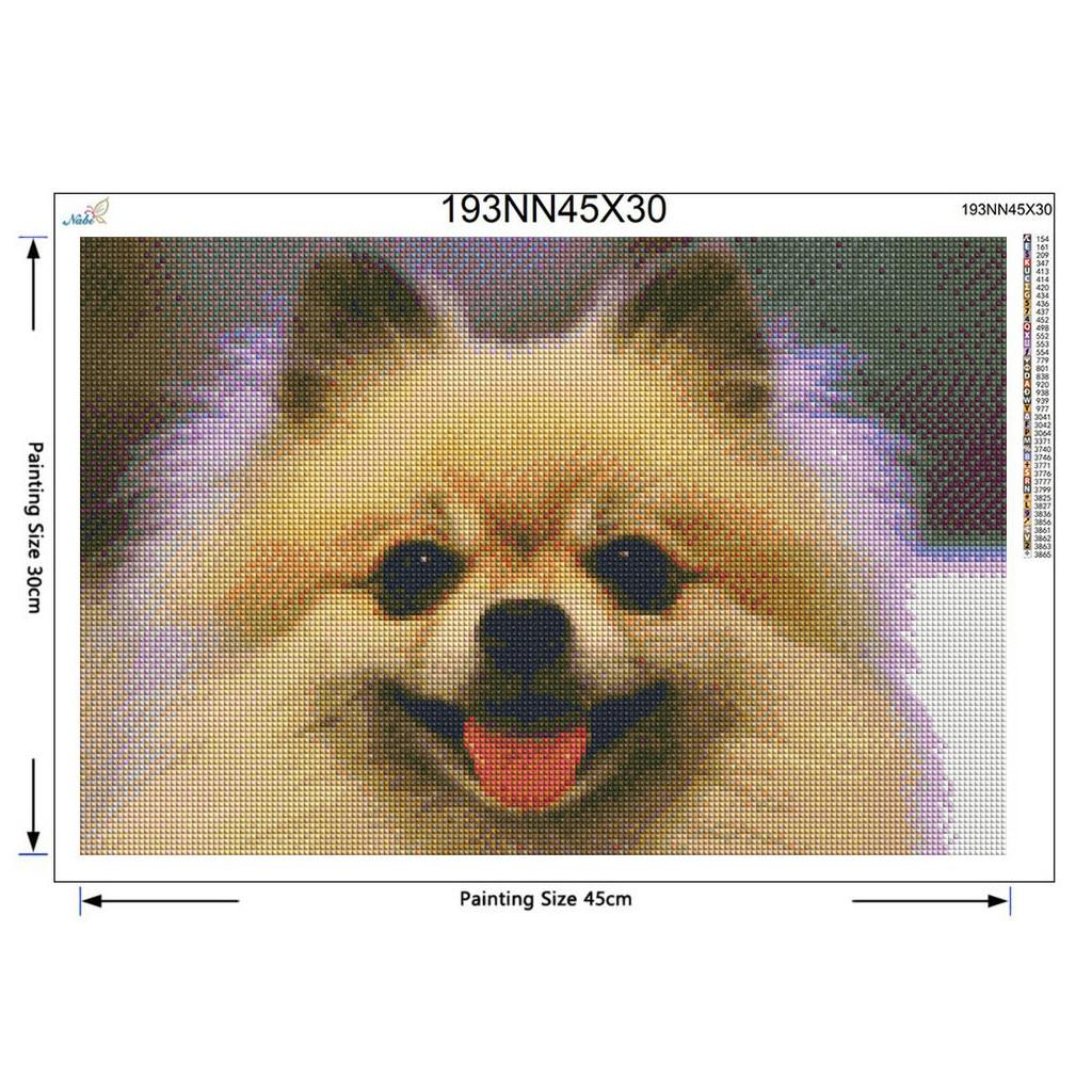 Diy Round Full Diamond Paint Křížovým stehem Domácí dekorace Psí Diamantové vyšívání Malování