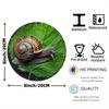 Charming Snail Design Aluminum Sign Waterproof Weather Resistant Wall Art Pre Drilled For Easy Installation