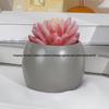 Middle Finger Succulent Planter - Cross Resin Handicrafts for TV Cabinets, Bedrooms, Courtyards